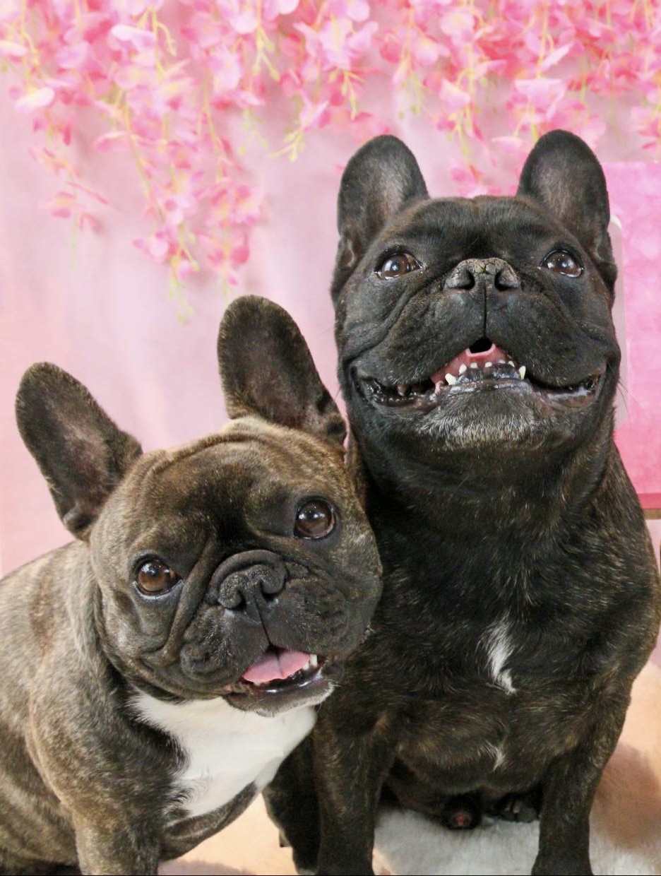 Pepper and friend